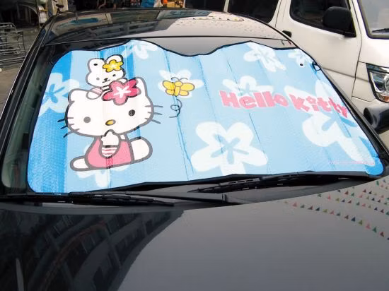 PE Sunshade Custom Sun Shade Car Accessories