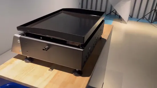 Portable Outdoor 2 Burner Gas Grill Table Top